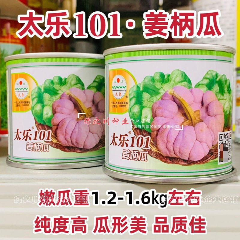 云南姜柄瓜种子太乐101飞碟瓜种子嫩南瓜种子瓜形美品质佳