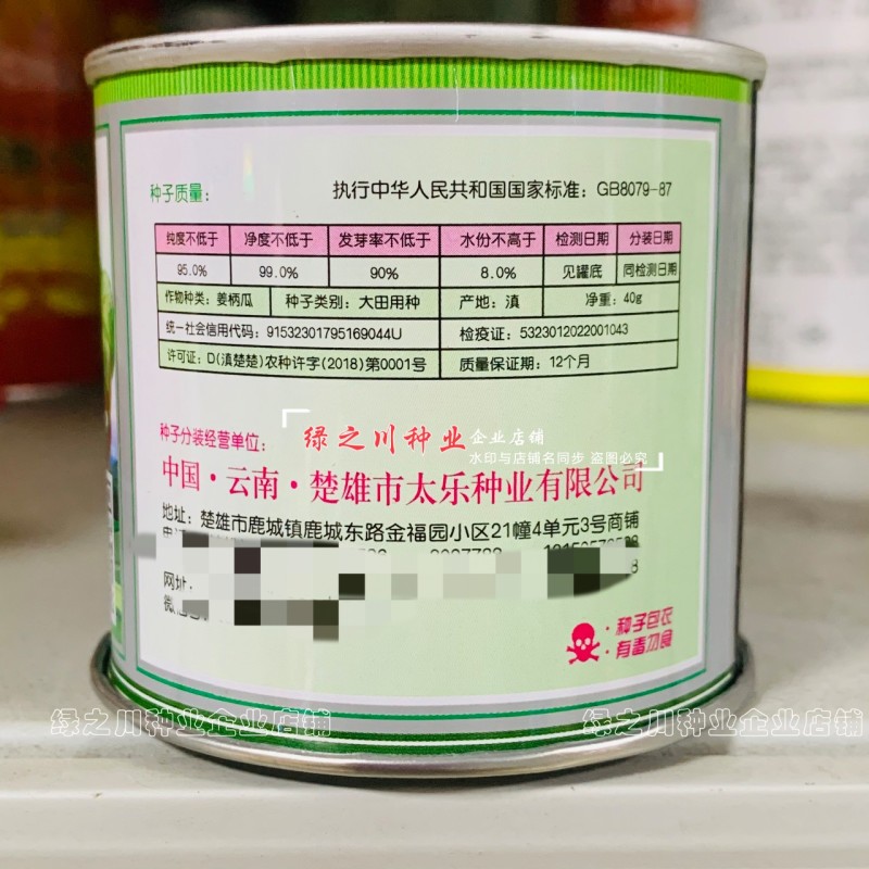 云南姜柄瓜种子太乐101飞碟瓜种子嫩南瓜种子瓜形美品质佳