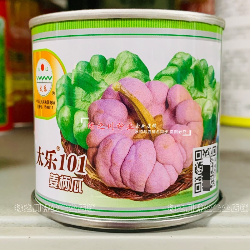云南姜柄瓜种子太乐101飞碟瓜种子嫩南瓜种子瓜形美品质佳