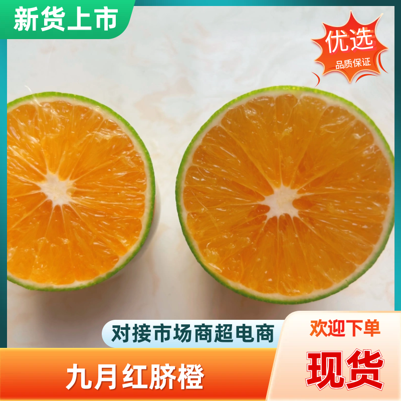 【精选】红肉脐橙皮薄汁多大量上市产地现摘现发欢迎采购