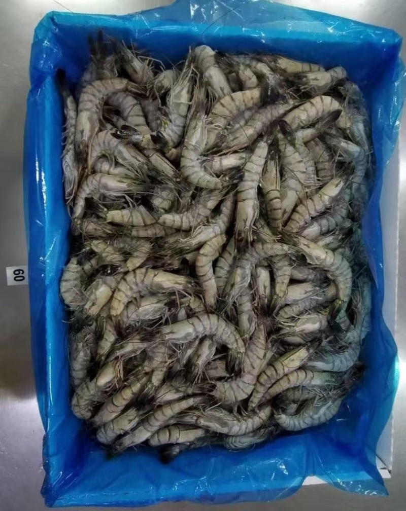 黑虎虾，价格便宜，货源充足，规格齐全，欢迎选购咨询