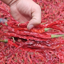 精品带把二荆条干辣椒颜色鲜艳常年供应一手货源品质好