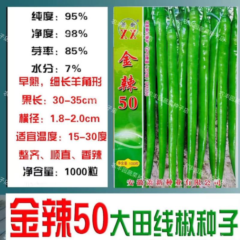 金辣50辣椒种子特长线椒种子早熟高产抗病羊角型线椒种籽线