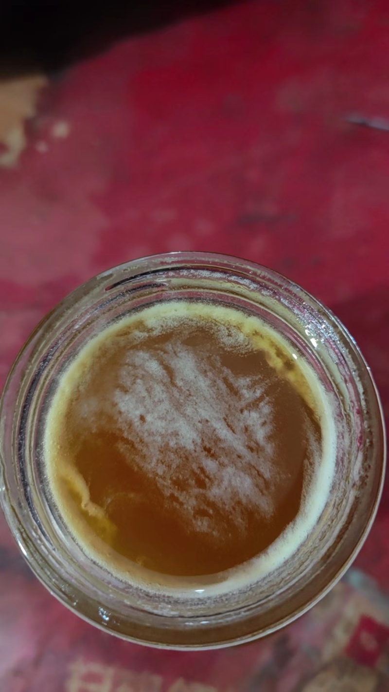 优质野生蜂蜜产地直供价格公道质量好可视频看货