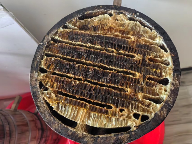 优质野生蜂蜜产地直供价格公道质量好可视频看货