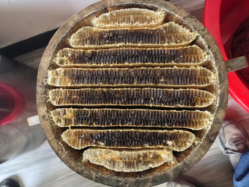 优质野生蜂蜜产地直供价格公道质量好可视频看货