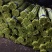 精品蒜苔白帽蒜薹山东蒜苔品质保证诚信经营价格美丽