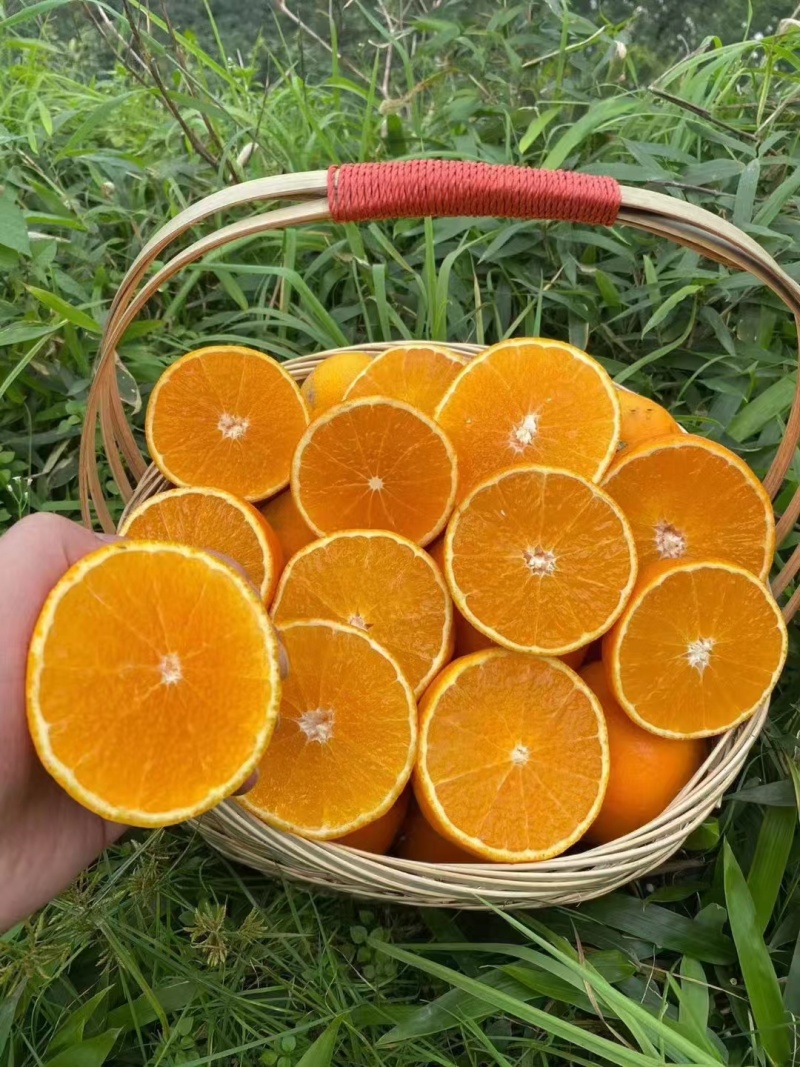 爱媛果冻橙，大量有货支持一件代发，量大优惠，欢迎新老客户