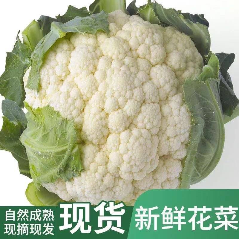 精品花菜产地直供现货量大对接市场电商社区团购欢迎来电订购