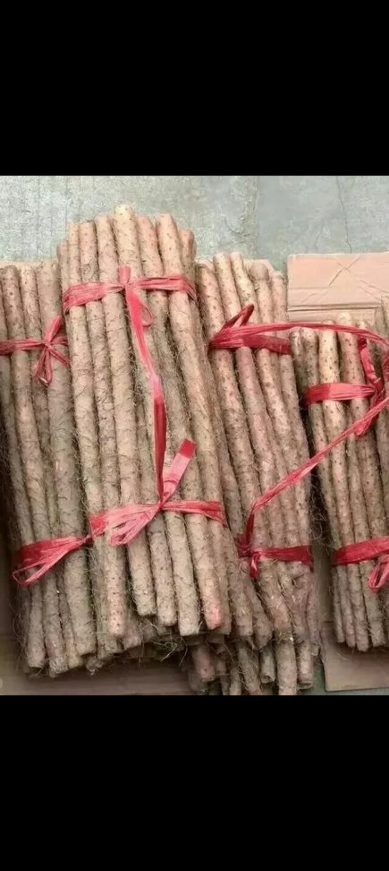 白玉山药大量上市规格齐全现挖现发质量保证