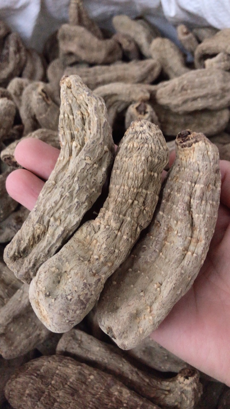 正宗天麻云南无硫大天麻正品头疼晕切片磨粉云南丽江天麻昭通