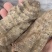 正宗天麻云南无硫大天麻正品头疼晕切片磨粉云南丽江天麻昭通