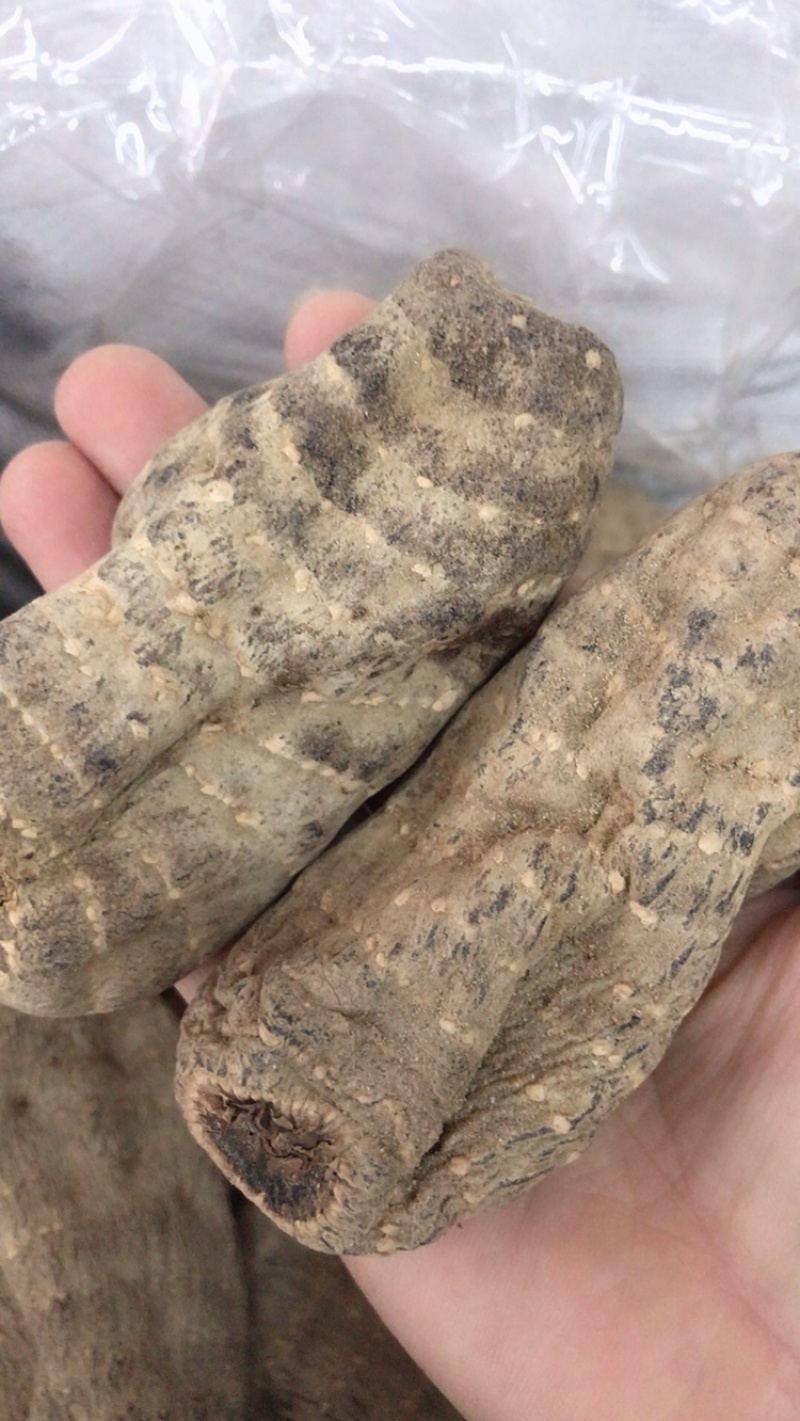 正宗天麻云南无硫大天麻正品头疼晕切片磨粉云南丽江天麻昭通