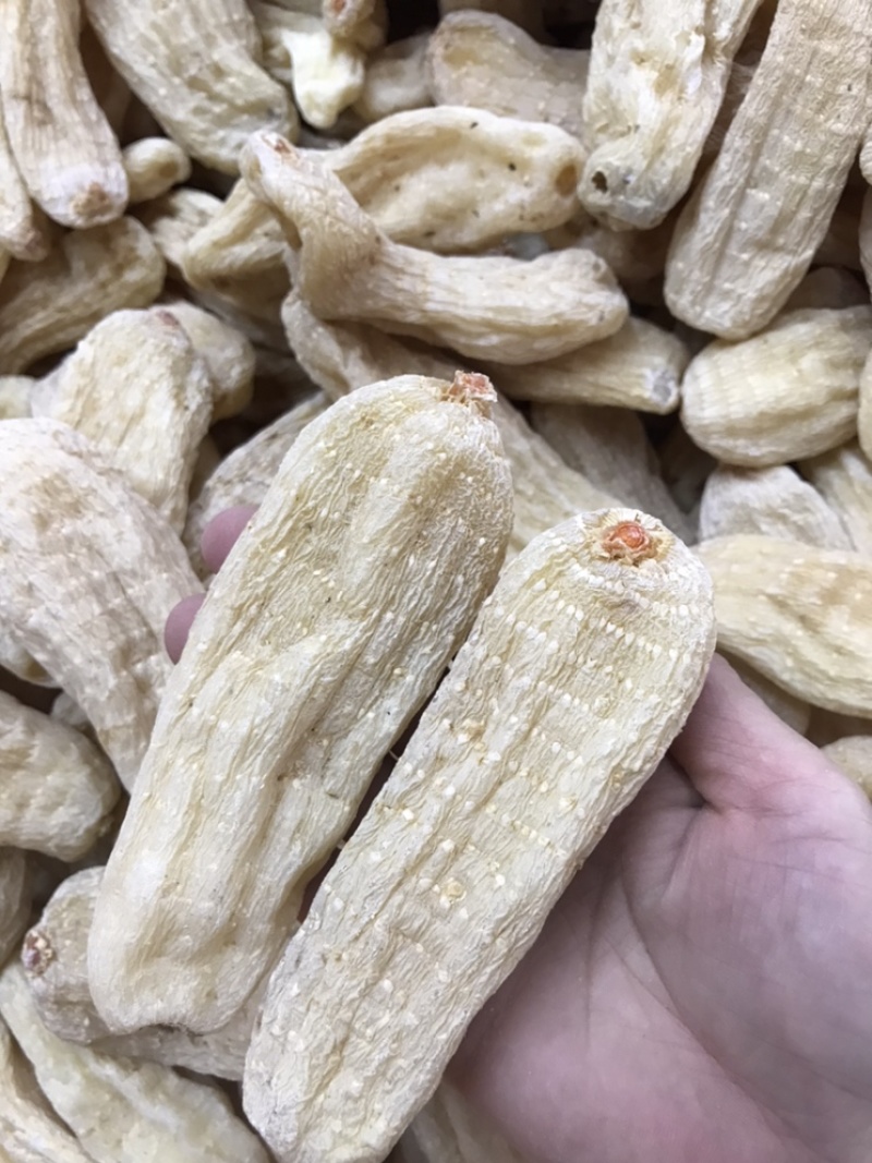 正宗天麻云南无硫大天麻正品头疼晕切片磨粉云南丽江天麻昭通