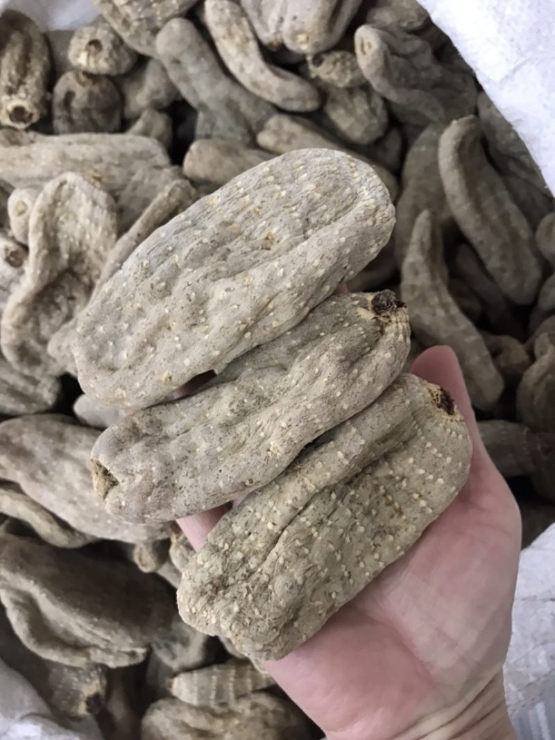 正宗天麻云南无硫大天麻正品头疼晕切片磨粉云南丽江天麻昭通