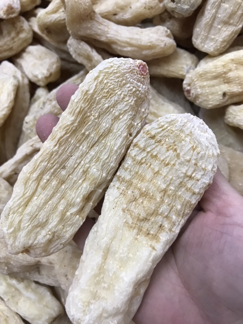 正宗天麻云南无硫大天麻正品头疼晕切片磨粉云南丽江天麻昭通