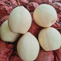 精品水晶鸭梨，河北产地直发价格不高，常年供应，代发全国