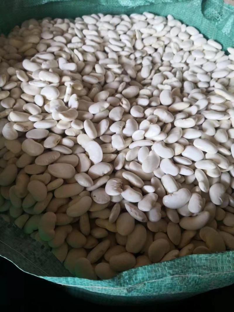 云南高山白芸豆，65粒。干度好，性价比高！