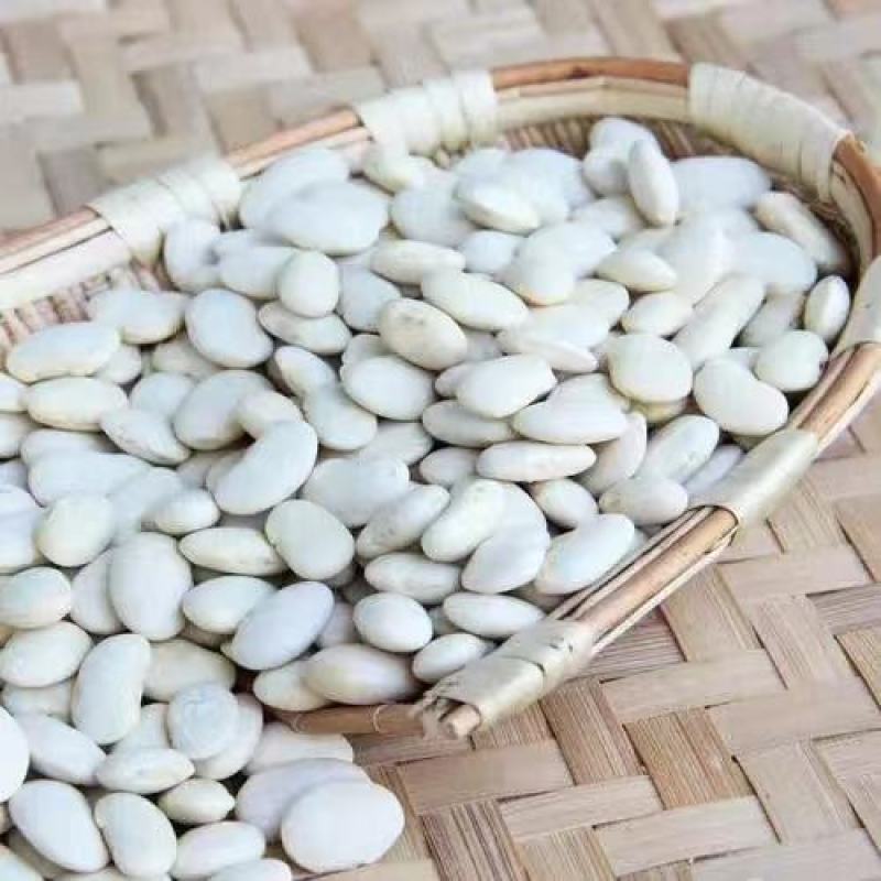 云南高山白芸豆，65粒。干度好，性价比高！