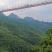 豌豆尖全年批发全国空运全国几小时到货