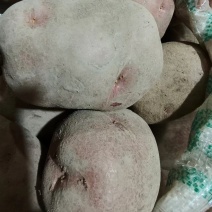 土豆