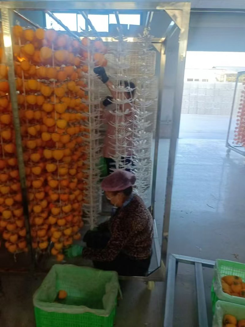 尖柿新鲜水果吊柿陕西富平挂柿饼大柿子软甜柿子