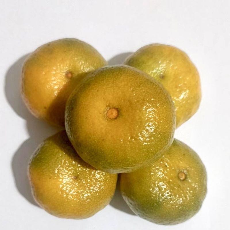正宗南丰蜜橘高山橘子应季新鲜皮薄无打蜡孕妇水果产地直发每