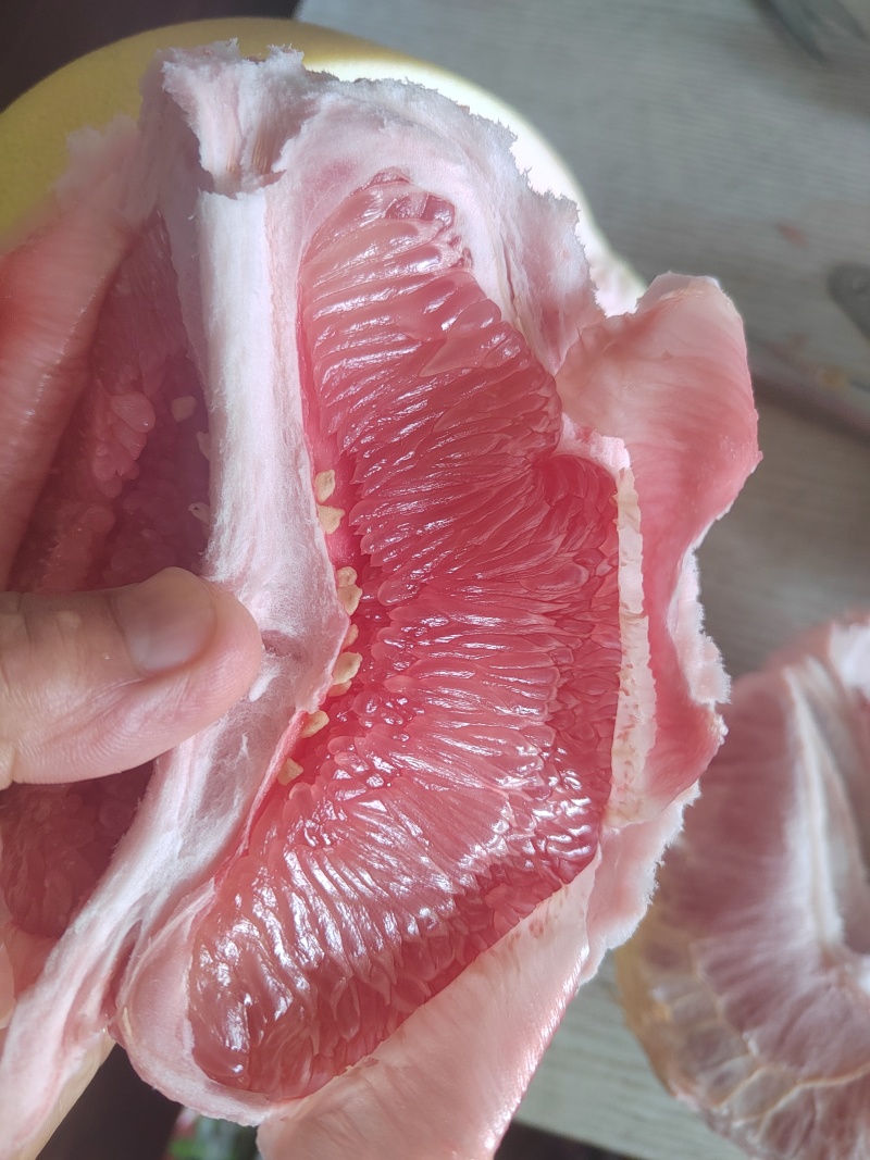福建平和琯溪红肉蜜柚二十年老树整车发货保障交易