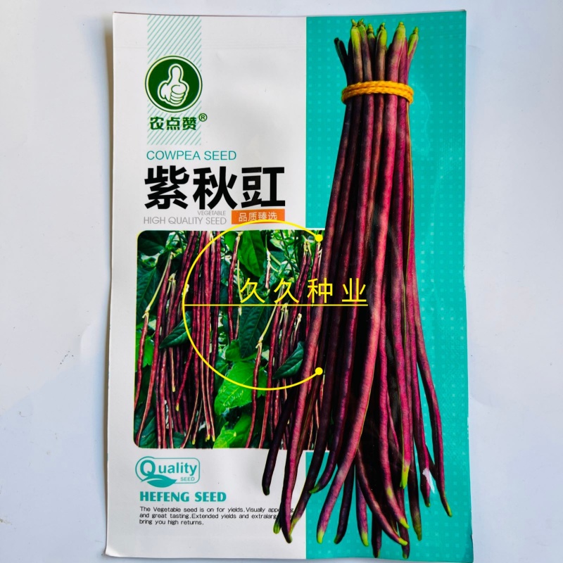 紫秋豇种子春秋红豇豆种籽特长高产红紫架豆冠天下长豇春季