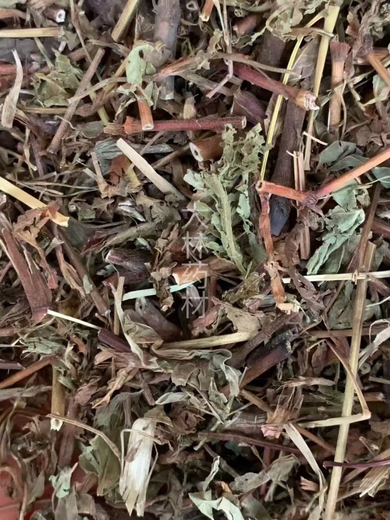 辣蓼草【包邮】三斤起发货可批量可零售量大从优