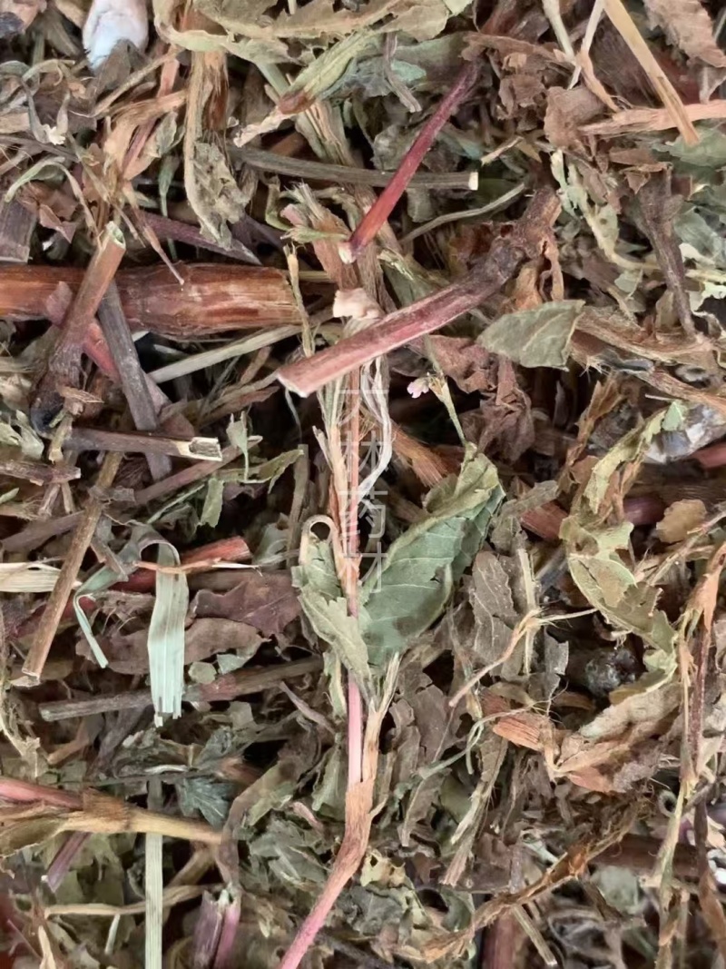 辣蓼草【包邮】三斤起发货可批量可零售量大从优