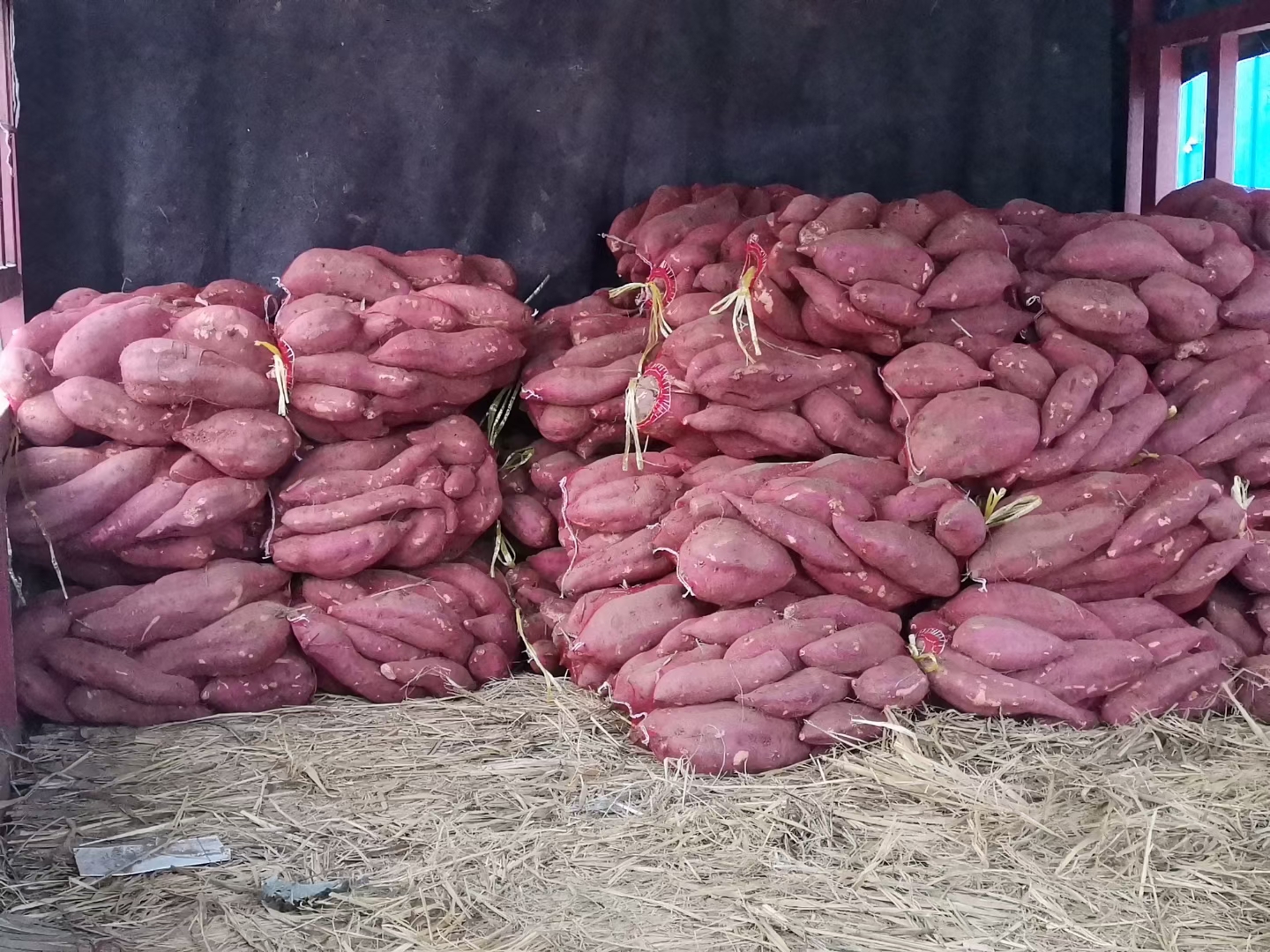 紫薯与黄金价值对比图