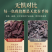 包邮）新疆紫草500g克调料香料商用红油上色软紫草紫草根