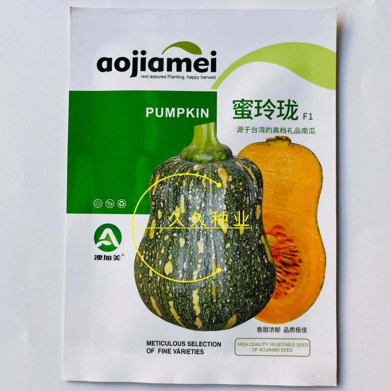 蜜玲珑南瓜种子肉厚板栗味甜面糯南瓜种籽粉甜小南瓜种籽