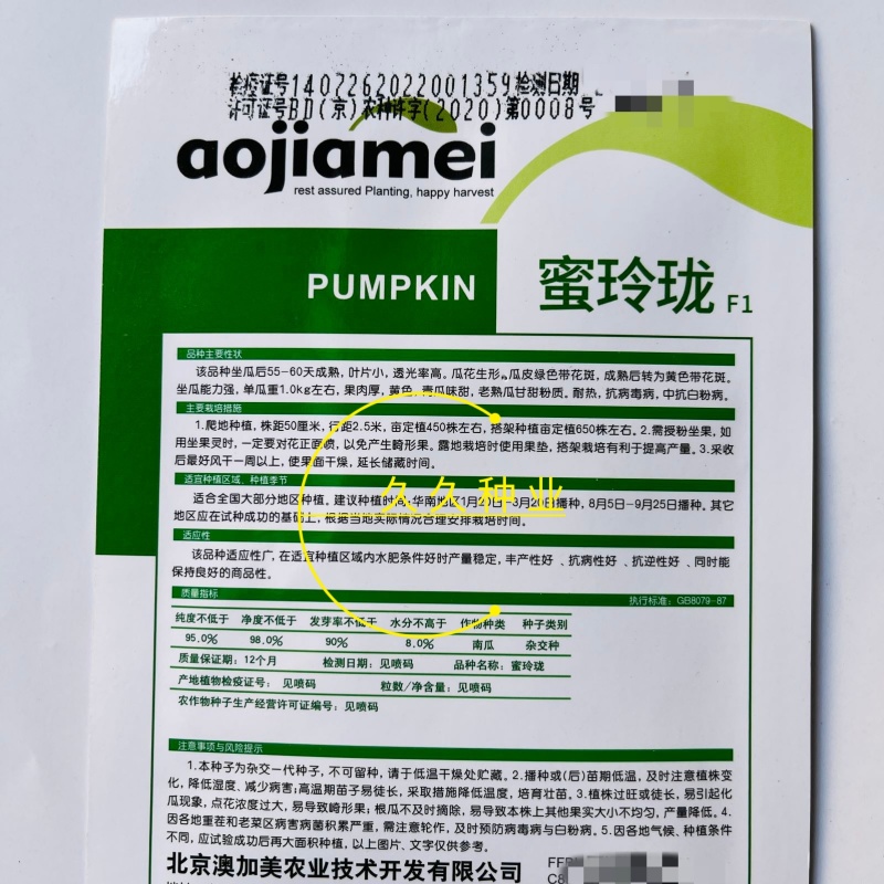 蜜玲珑南瓜种子肉厚板栗味甜面糯南瓜种籽粉甜小南瓜种籽