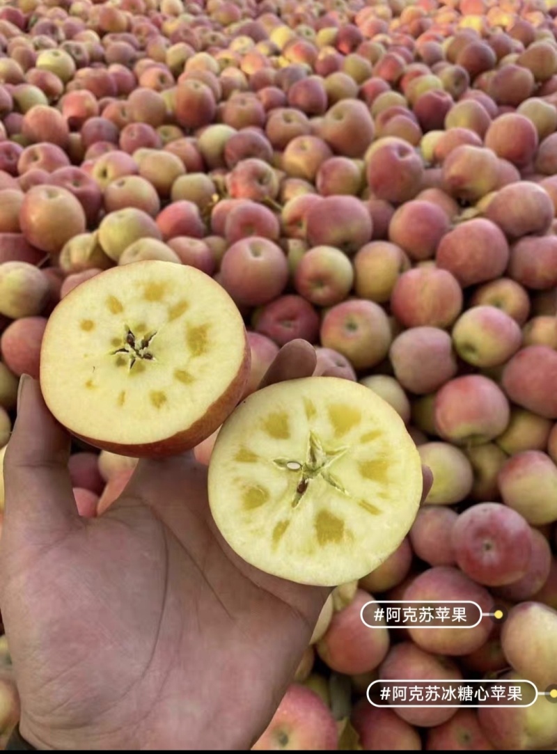 代办代购新疆阿克苏冰糖心红富士苹果，大量有货