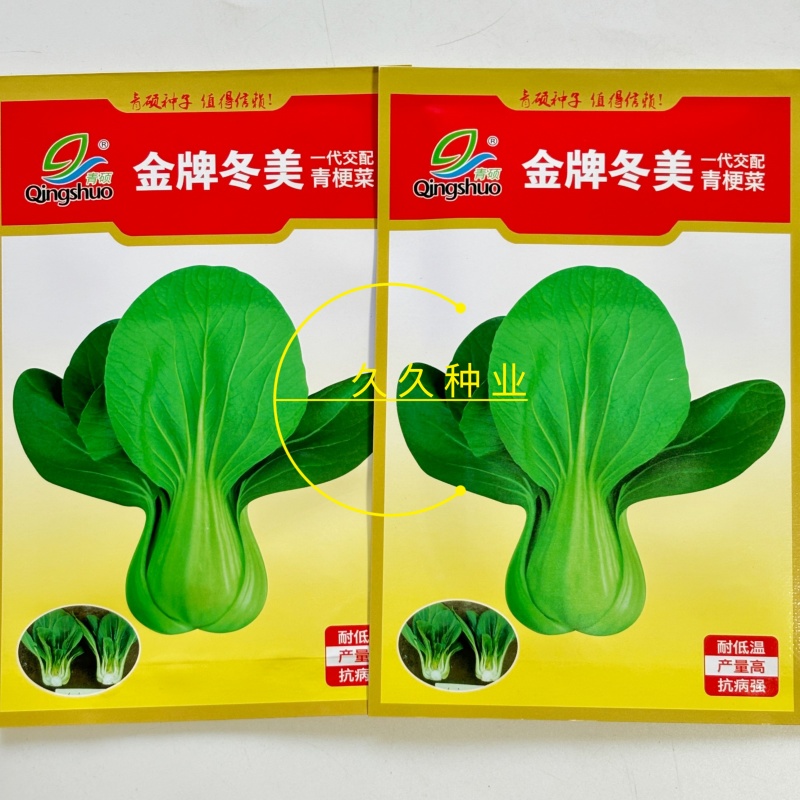金牌冬美青梗菜种子大头束腰矮脚菜种耐寒耐抽薹上海青籽