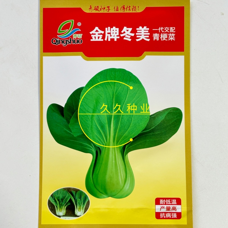 金牌冬美青梗菜种子大头束腰矮脚菜种耐寒耐抽薹上海青籽