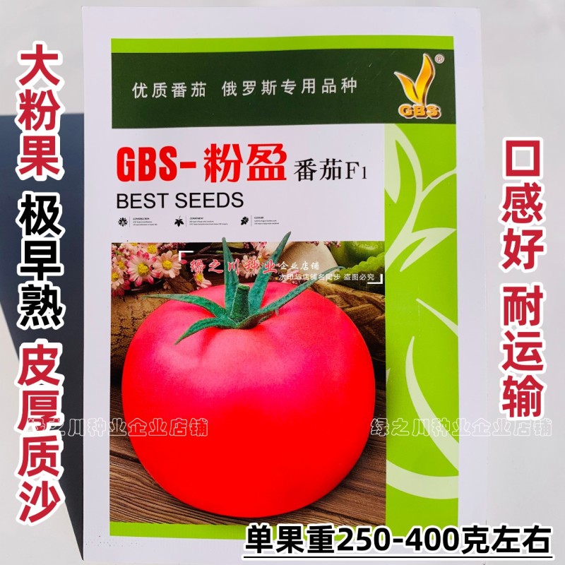 优质大果型番茄种子大粉果番茄西红柿种子沙瓤味甜皮厚耐运输