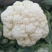 【实力】花菜有机花菜河北产区直发保质保量供货