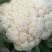 【实力】花菜有机花菜河北产区直发保质保量供货