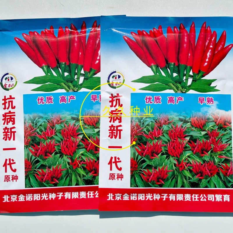 抗病新一代原种朝天椒种子朝天小米椒浓辣早熟四季播蔬菜种籽