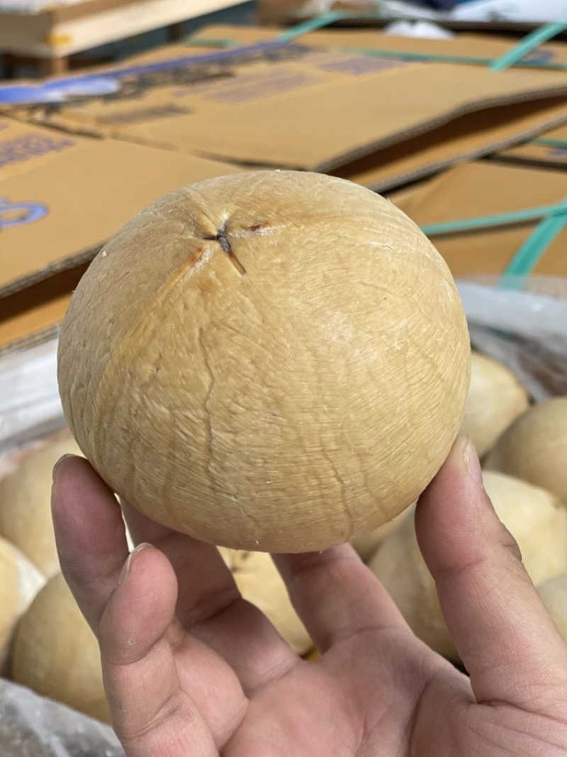 顺丰奶香椰皇椰汁浓郁清甜椰肉柔嫩Q弹