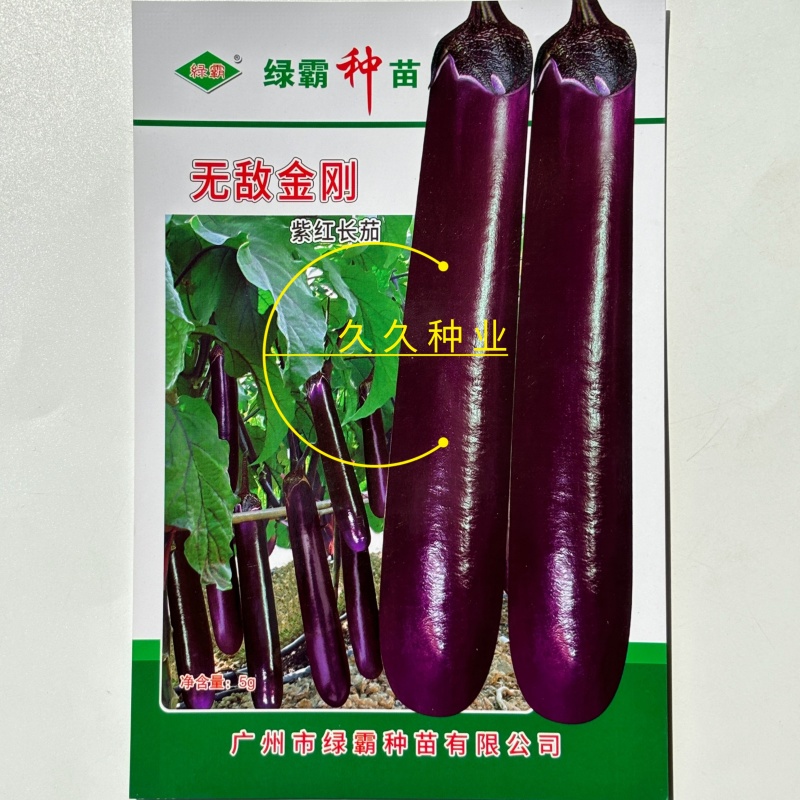 绿霸无敌金刚紫红长茄子种子烧烤茄子春秋冬季播蔬菜种子