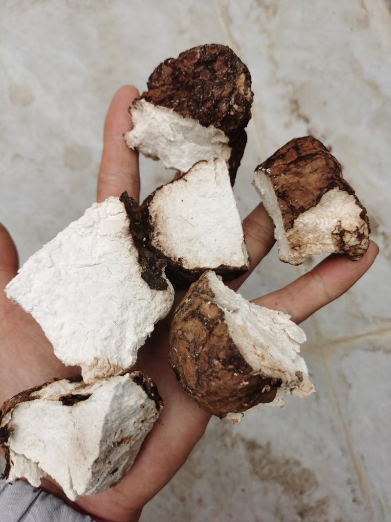 茯苓干货，10斤起批包邮，新鲜货，云南产地