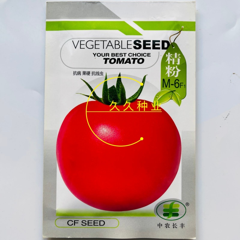 精粉M6西红柿种子春播早熟秋季粉红番茄种籽四季蔬菜种籽孑