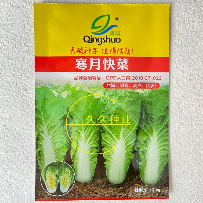 寒月快菜种子夏季耐热小白菜籽春夏秋季耐寒耐毛白菜青菜种孑