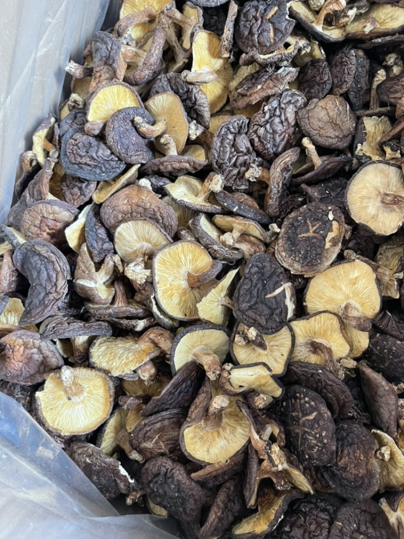 高山椴木香菇干货特香脆嫩口感特好产地批发价