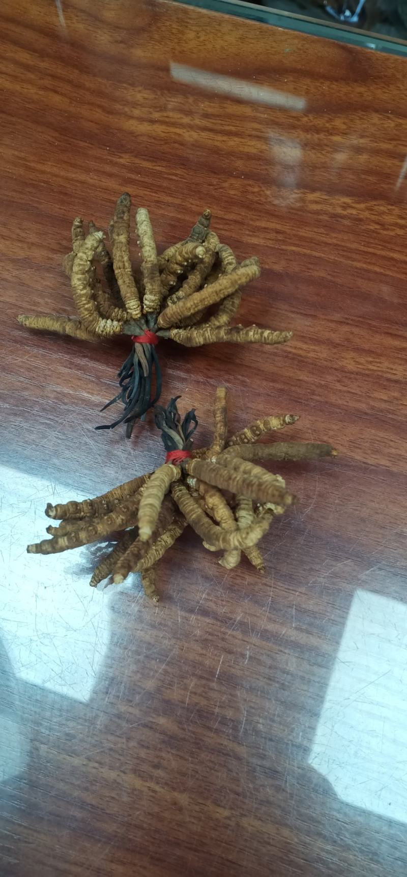 冬虫草中药批发一手货源量大忧惠全国发货