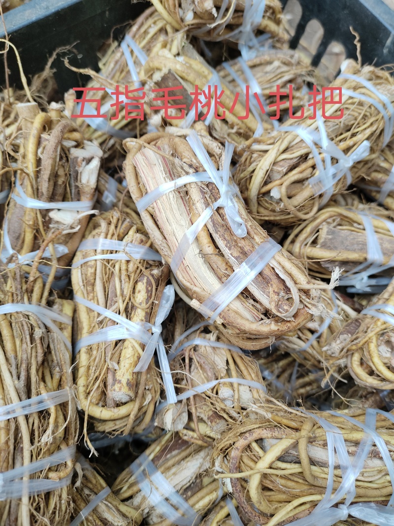 纯野生五指毛桃小扎把，加工厂一手货源，大量批发!